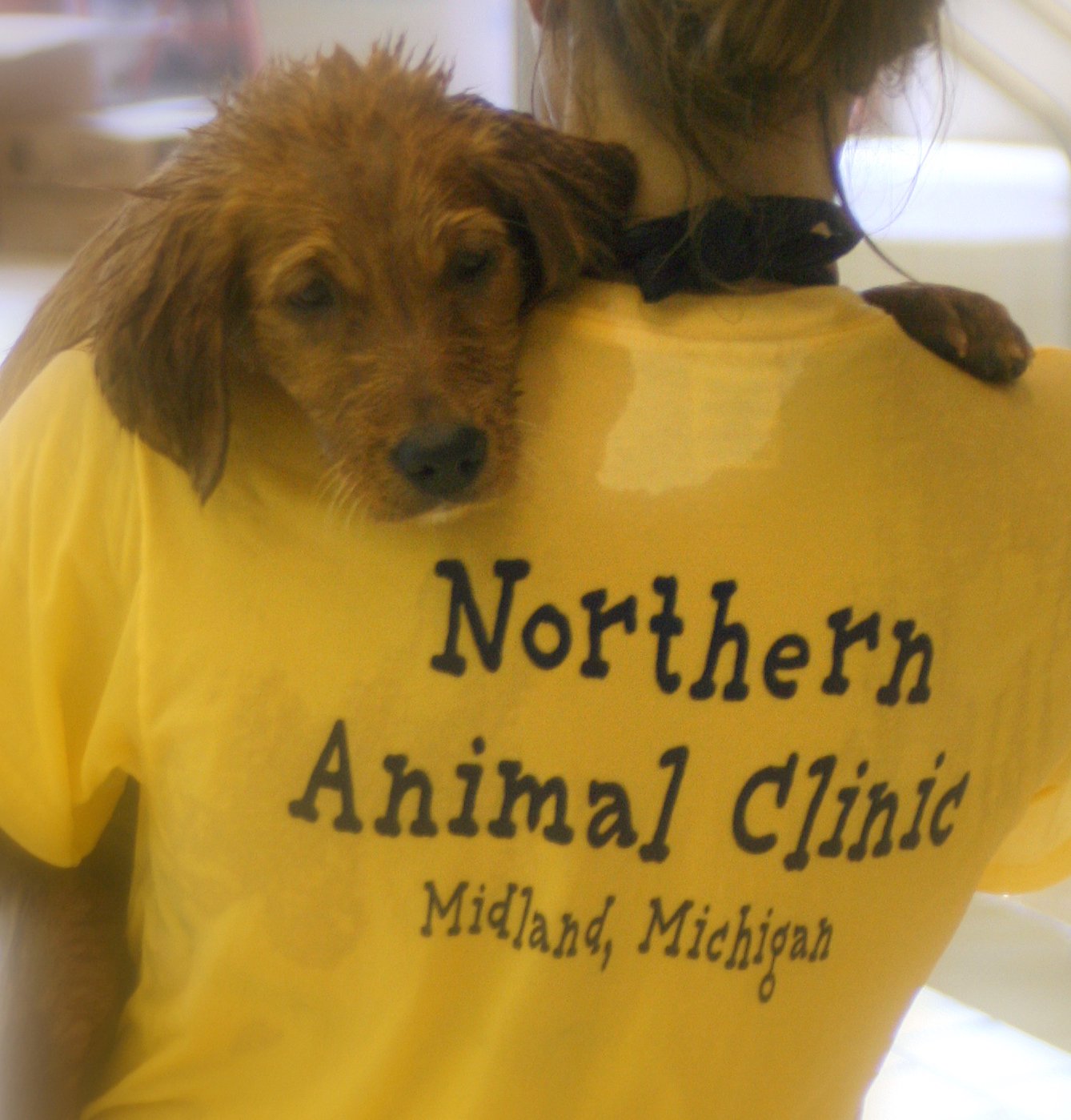 Staff holding a Puppy