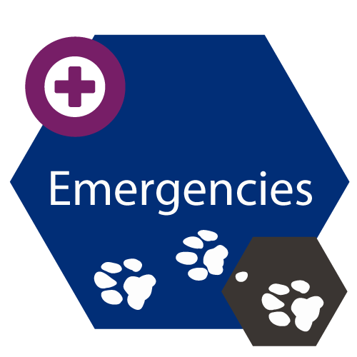 Emergencies Button