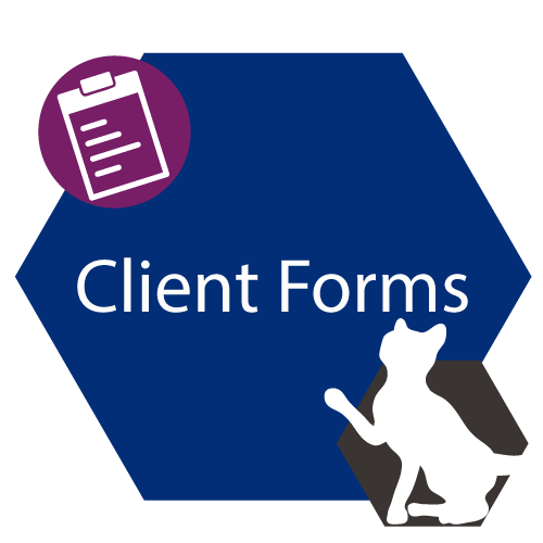 Client Form Button