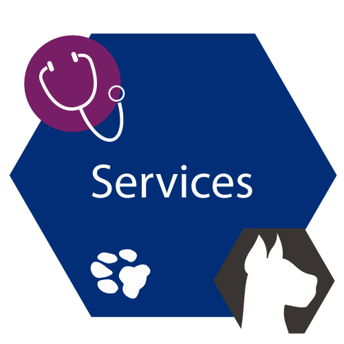 Services Button